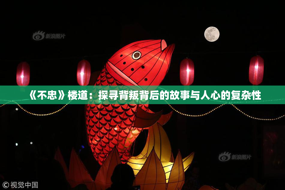 《不忠》楼道：探寻背叛背后的故事与人心的复杂性