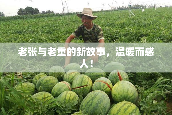 老张与老重的新故事，温暖而感人！
