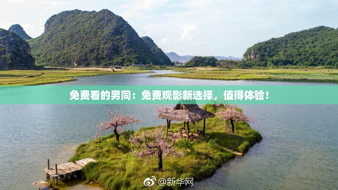 免费看的男同：免费观影新选择，值得体验！