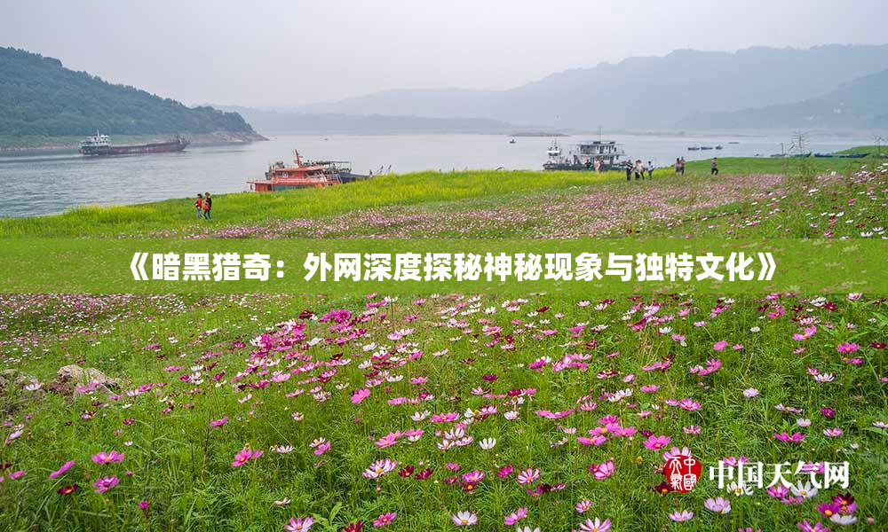 《暗黑猎奇：外网深度探秘神秘现象与独特文化》