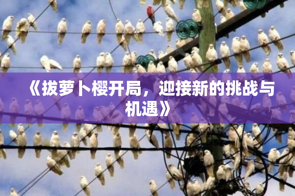 《拔萝卜樱开局，迎接新的挑战与机遇》