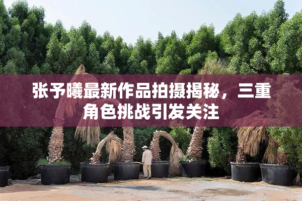 张予曦最新作品拍摄揭秘，三重角色挑战引发关注