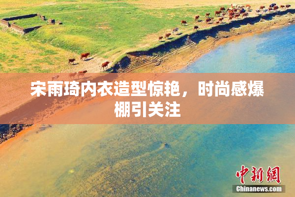 宋雨琦内衣造型惊艳，时尚感爆棚引关注