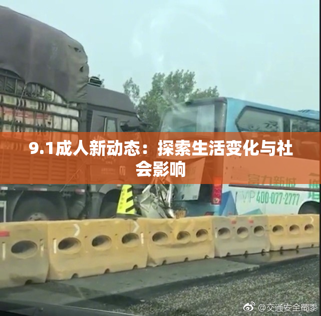 9.1成人新动态：探索生活变化与社会影响