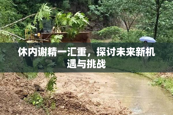 休内谢精一汇重，探讨未来新机遇与挑战
