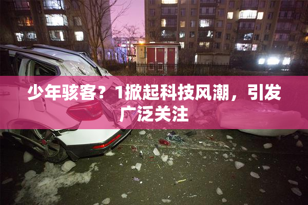 少年骇客？1掀起科技风潮，引发广泛关注