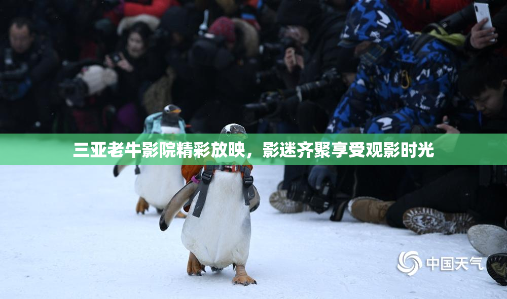三亚老牛影院精彩放映，影迷齐聚享受观影时光