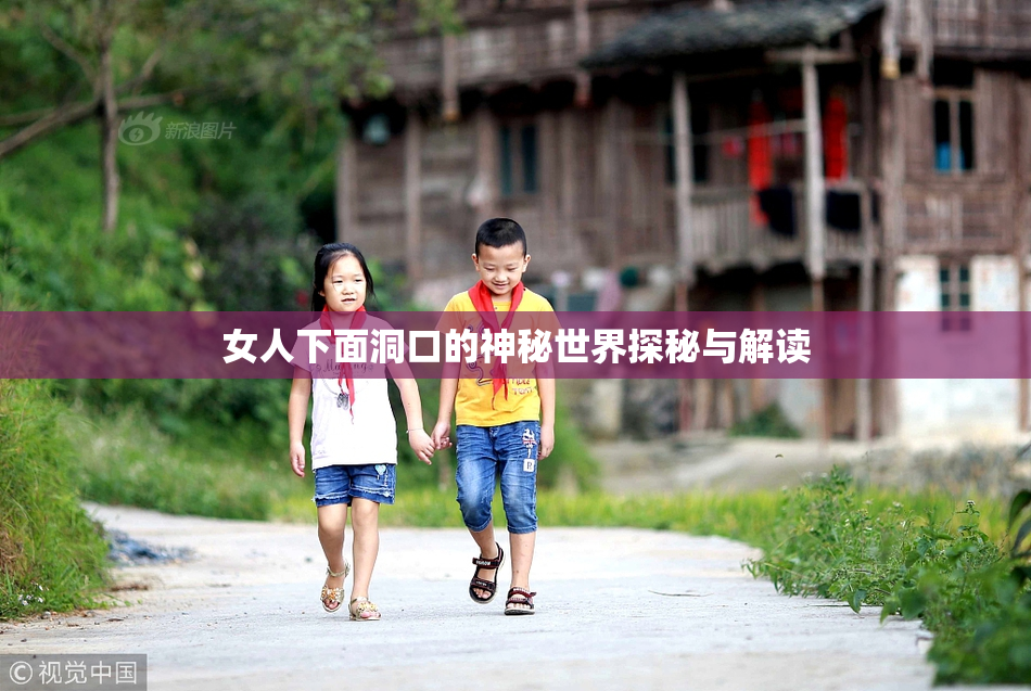 女人下面洞口的神秘世界探秘与解读