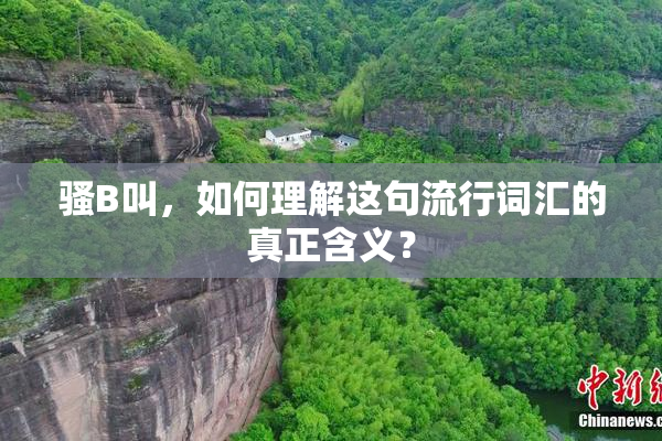 骚B叫，如何理解这句流行词汇的真正含义？