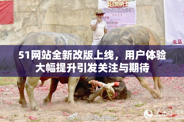 51网站全新改版上线，用户体验大幅提升引发关注与期待