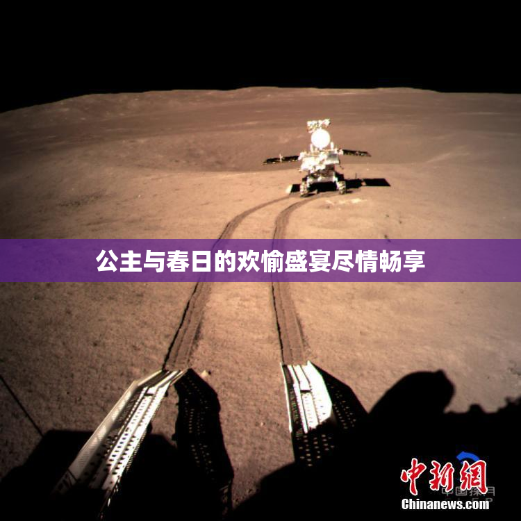 公主与春日的欢愉盛宴尽情畅享