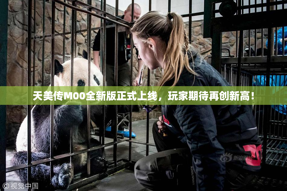 天美传M00全新版正式上线，玩家期待再创新高！