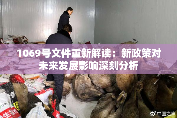1069号文件重新解读：新政策对未来发展影响深刻分析