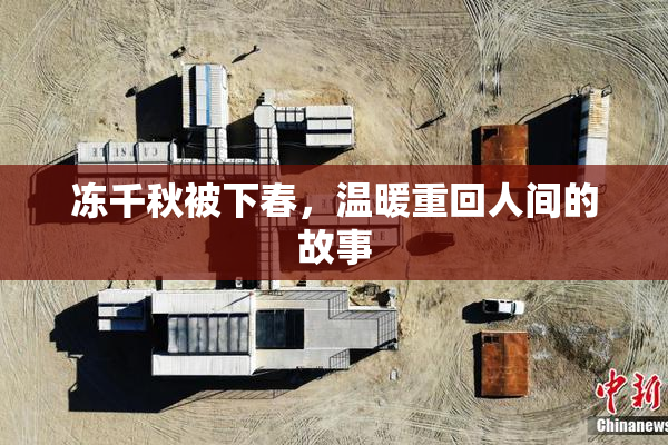 冻千秋被下春，温暖重回人间的故事