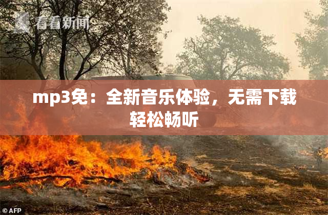 mp3免：全新音乐体验，无需下载轻松畅听