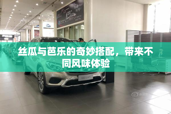 丝瓜与芭乐的奇妙搭配，带来不同风味体验