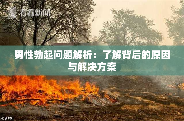 男性勃起问题解析：了解背后的原因与解决方案