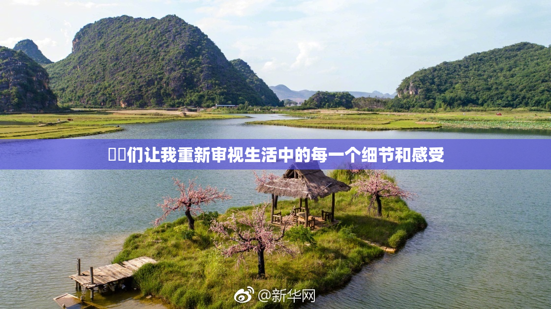 妺妺们让我重新审视生活中的每一个细节和感受