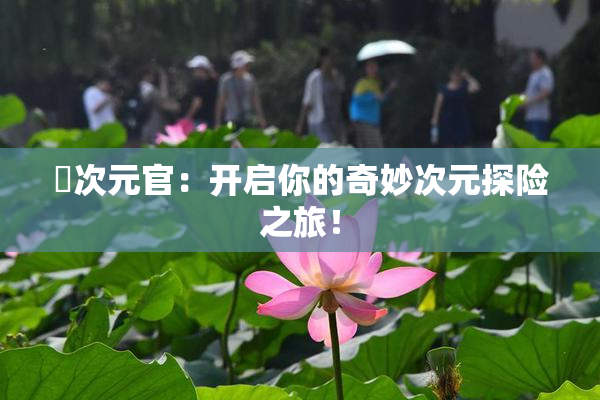 囧次元官：开启你的奇妙次元探险之旅！