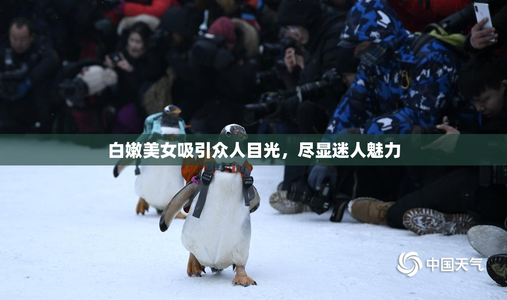 白嫩美女吸引众人目光，尽显迷人魅力