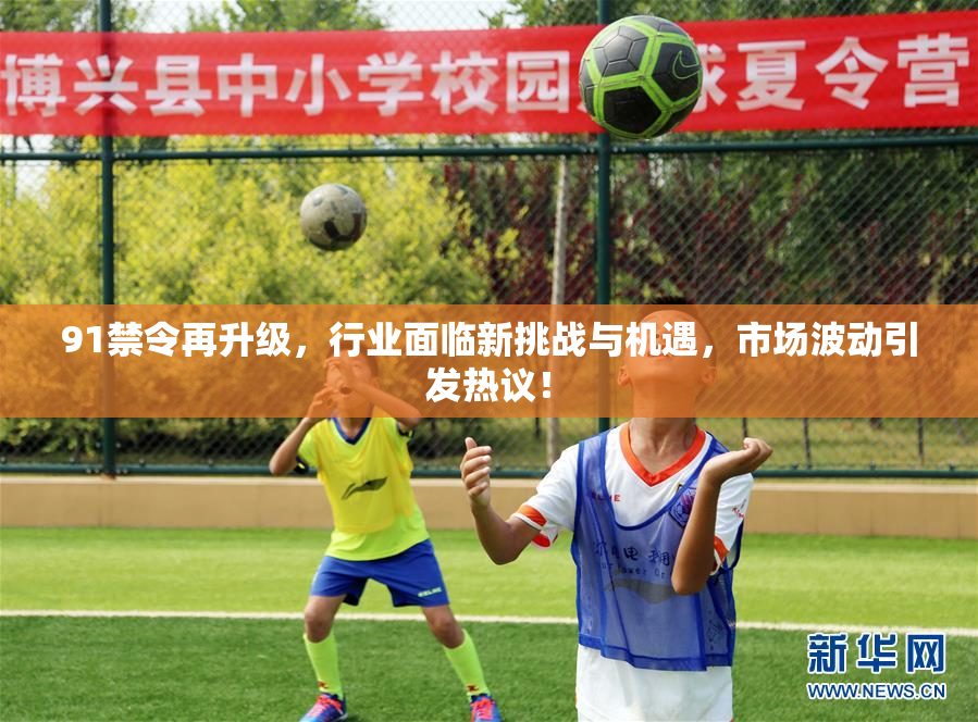 91禁令再升级，行业面临新挑战与机遇，市场波动引发热议！