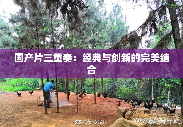 国产片三重奏：经典与创新的完美结合