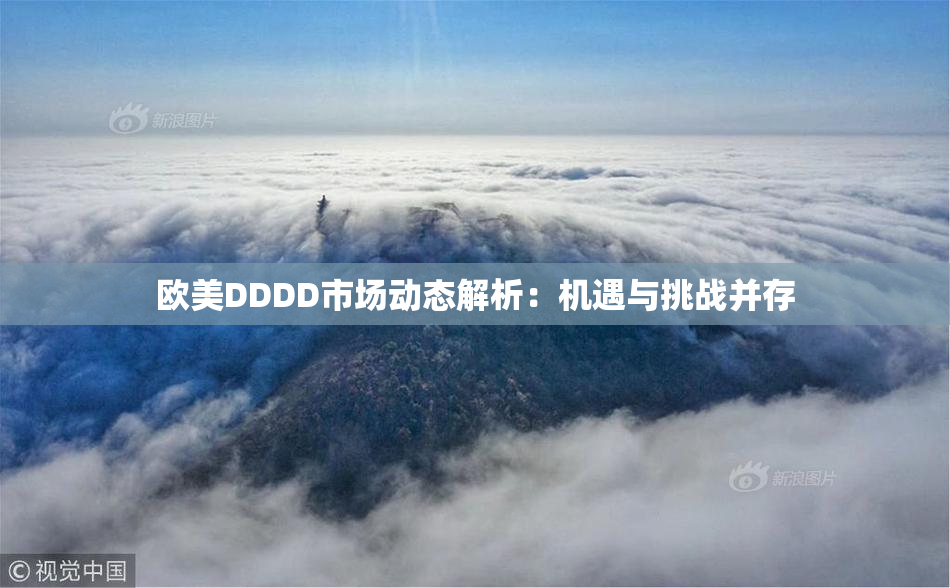欧美DDDD市场动态解析：机遇与挑战并存