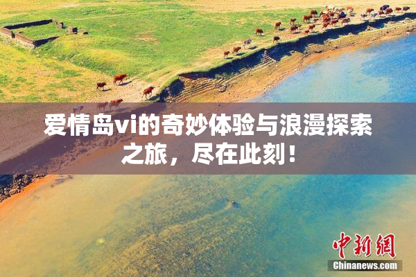 爱情岛vi的奇妙体验与浪漫探索之旅，尽在此刻！