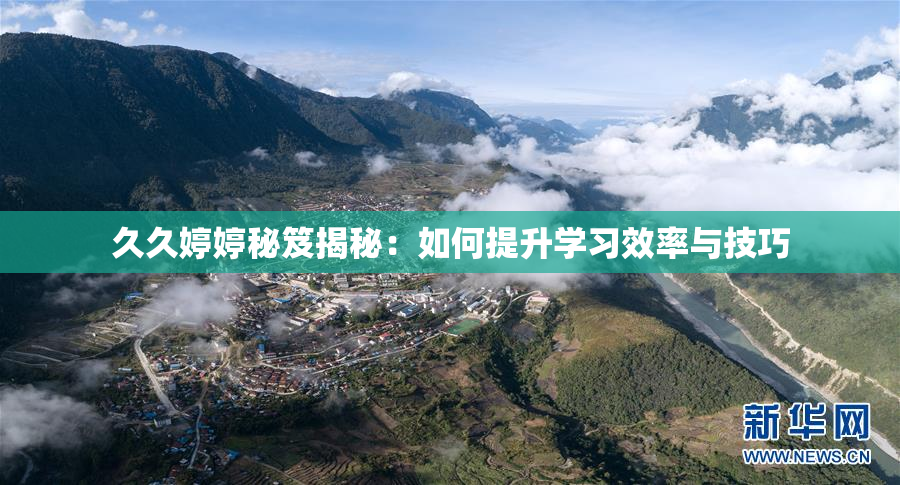 久久婷婷秘笈揭秘：如何提升学习效率与技巧