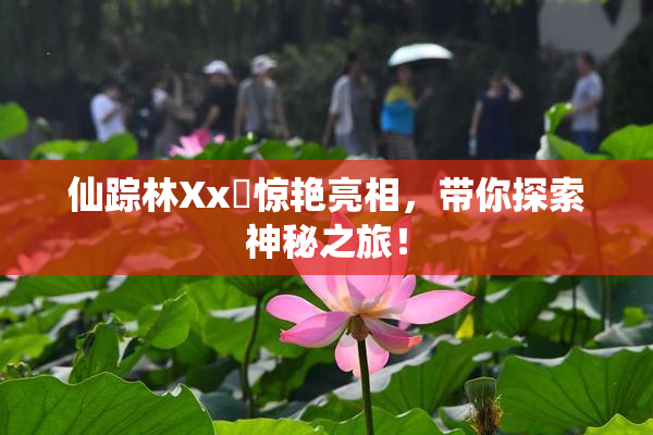 仙踪林Xx乂惊艳亮相，带你探索神秘之旅！