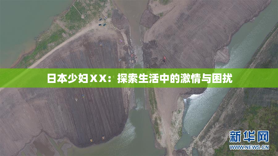 日本少妇ⅩX：探索生活中的激情与困扰