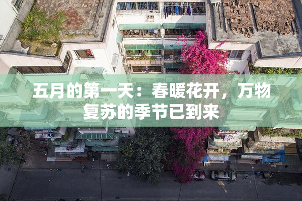 五月的第一天：春暖花开，万物复苏的季节已到来