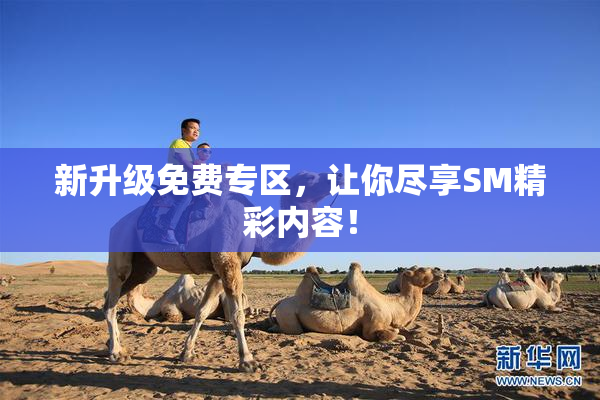新升级免费专区，让你尽享SM精彩内容！