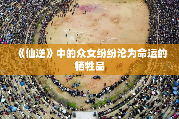 《仙逆》中的众女纷纷沦为命运的牺牲品