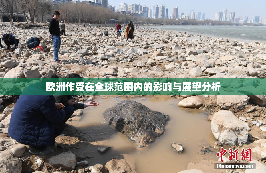 欧洲作受在全球范围内的影响与展望分析