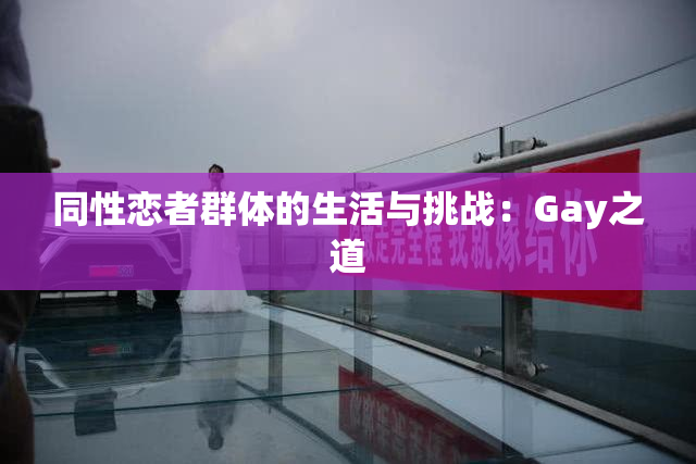 同性恋者群体的生活与挑战：Gay之道