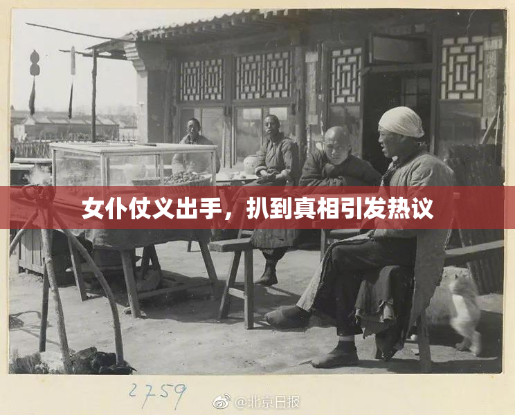 女仆仗义出手，扒到真相引发热议