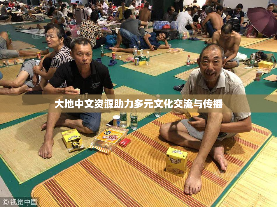 大地中文资源助力多元文化交流与传播