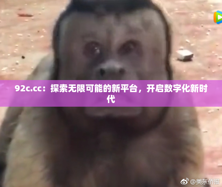 92c.cc：探索无限可能的新平台，开启数字化新时代