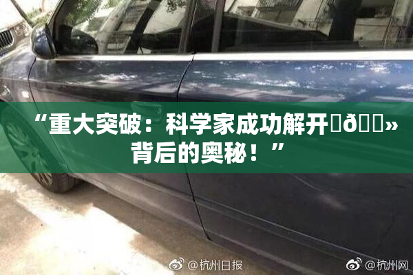 “重大突破：科学家成功解开‌🐻背后的奥秘！”