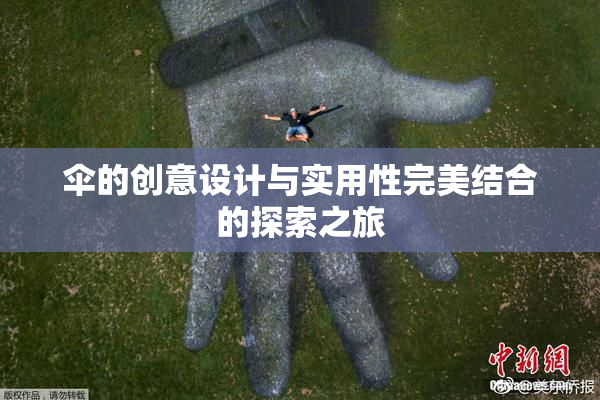 伞的创意设计与实用性完美结合的探索之旅
