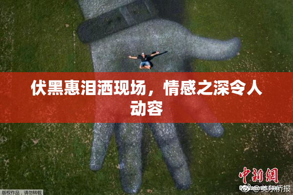 伏黑惠泪洒现场，情感之深令人动容