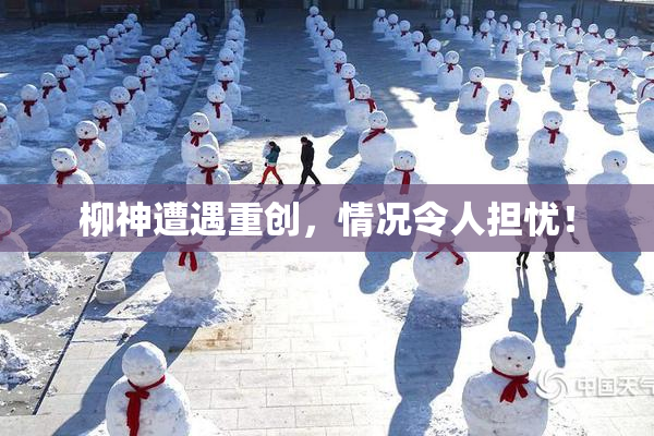 柳神遭遇重创，情况令人担忧！