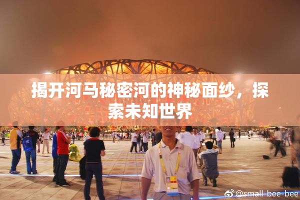 揭开河马秘密河的神秘面纱，探索未知世界