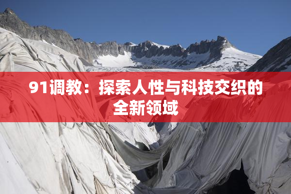 91调教：探索人性与科技交织的全新领域