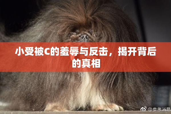 小受被C的羞辱与反击，揭开背后的真相