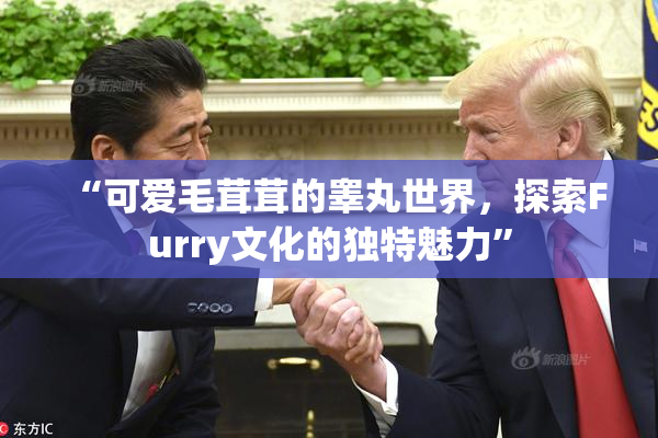“可爱毛茸茸的睾丸世界，探索Furry文化的独特魅力”