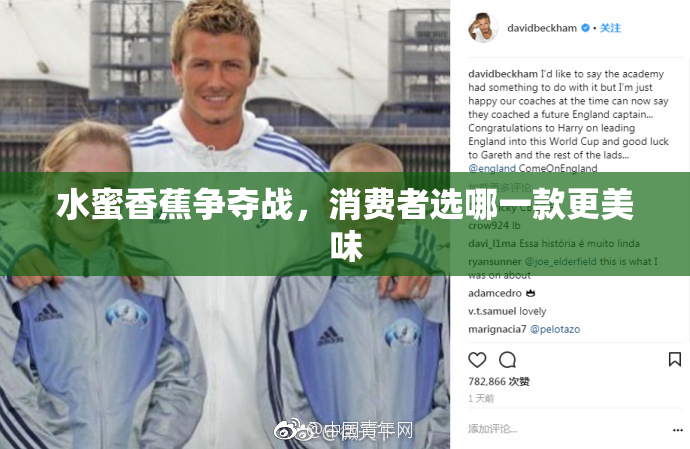 水蜜香蕉争夺战，消费者选哪一款更美味