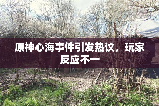 原神心海事件引发热议，玩家反应不一