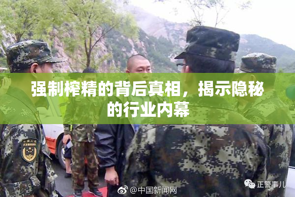 强制榨精的背后真相，揭示隐秘的行业内幕